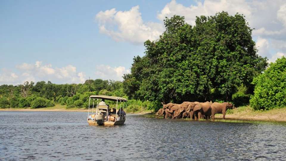 Safari Cruise along the Zambezi River - South Africa, Botswana, Namibia, Zimbabwe (port-to-port cruise) - Tweet World Travel - South Africa - Image 5
