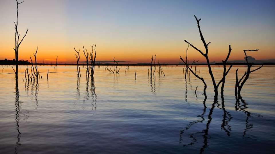 Safari Cruise along the Zambezi River - South Africa, Botswana, Namibia, Zimbabwe (port-to-port cruise) - Tweet World Travel - South Africa - Image 6