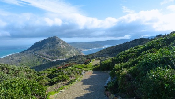Image 4 of 15