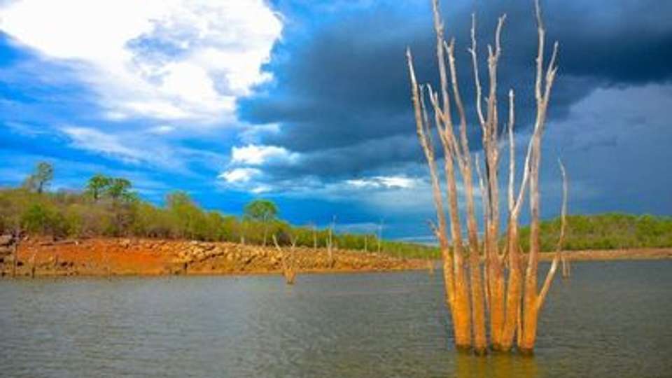 Safari Cruise along the Zambezi River - South Africa, Botswana, Namibia, Zimbabwe with extended stay at the Cape Peninsula (port-to-port cruise) - Croisieurope - South Africa - Image 12