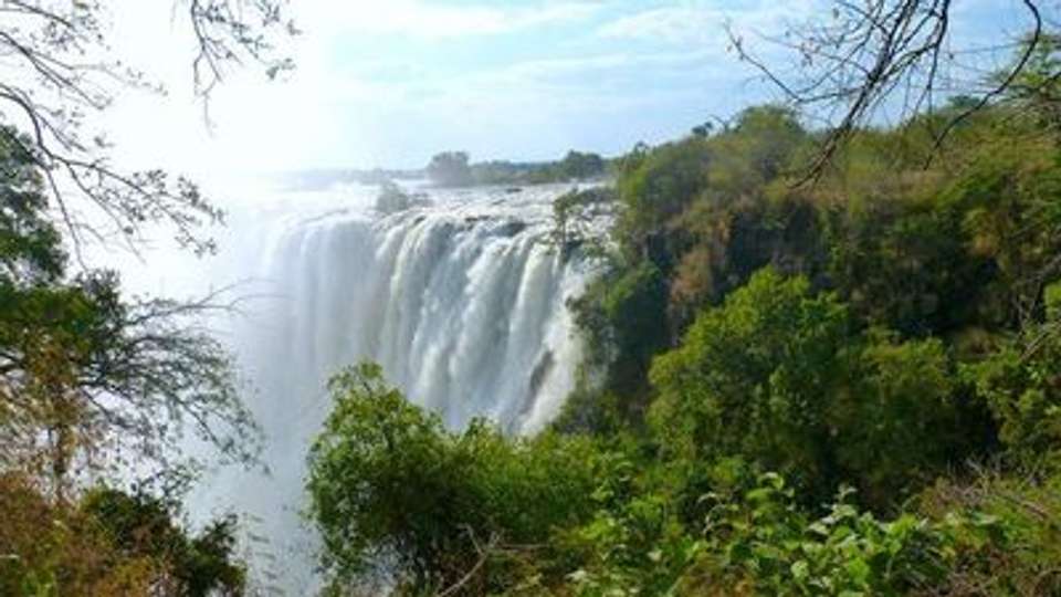 Safari Cruise along the Zambezi River - South Africa, Botswana, Namibia, Zimbabwe with extended stay at the Cape Peninsula (port-to-port cruise) - Croisieurope - South Africa - Image 14