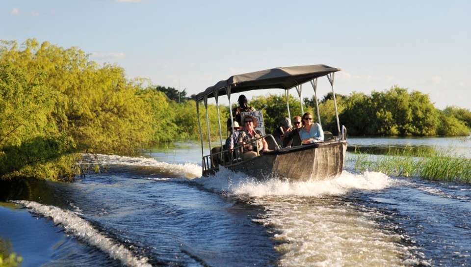 Safari Cruise along the Zambezi River - South Africa, Botswana, Namibia, Zimbabwe with extended stay at the Cape Peninsula (port-to-port cruise) - Croisieurope - South Africa - Image 9