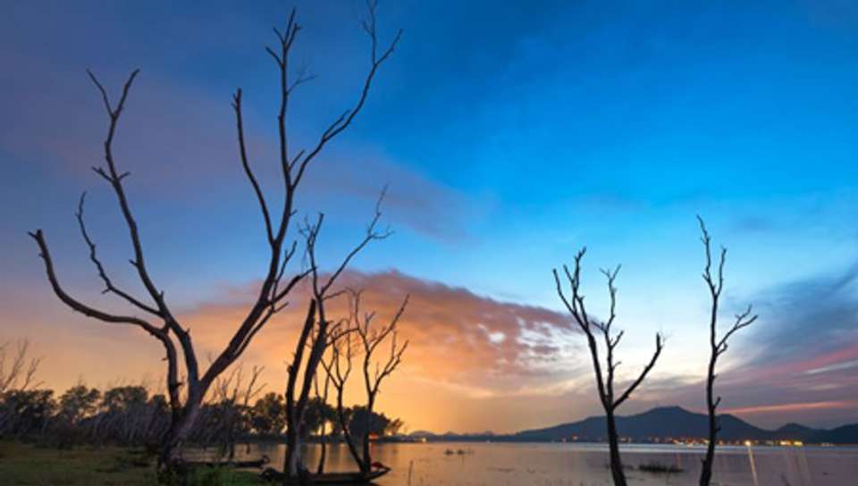 Safari Cruise along the Zambezi River - South Africa, Botswana, Namibia, Zimbabwe with extended stay at the Cape Peninsula (port-to-port cruise) - Croisieurope - South Africa - Image 10