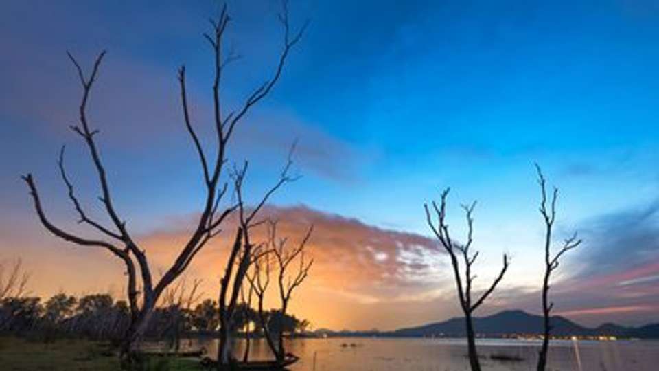 Safari Cruise along the Zambezi River - South Africa, Botswana, Namibia, Zimbabwe with extended stay at the Cape Peninsula (port-to-port cruise) - Tweet World Travel - South Africa - Image 10