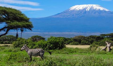 Safari Dream Adventure 6d/5n (masai Mara, Amboseli & Tsavo) - Winter Tours