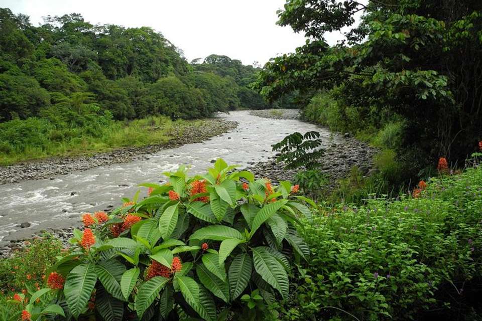 Safari Float Sarapiqui River From San Jose - Destination Services - Costa Rica - Image 4