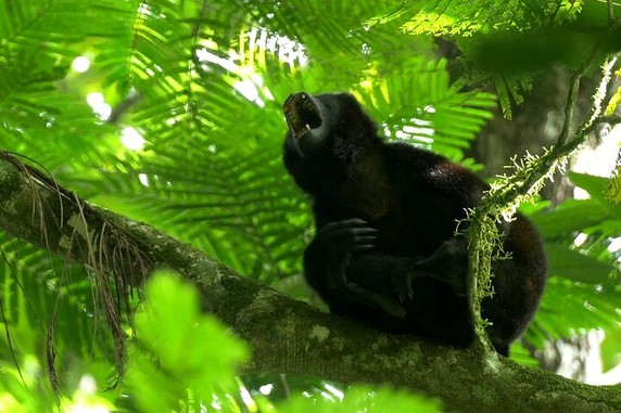 Image 4 of 9