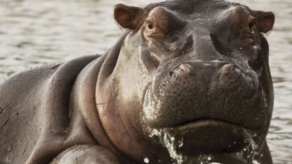 Journeys: Kenya & Tanzania Safari - G Adventures - Kenya