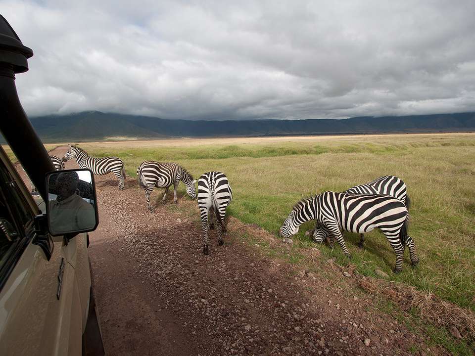 Journeys: Kenya & Tanzania Safari - G Adventures - Kenya