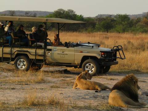 Pretoria Wildlife Safaris And Game Drives Tour: Safari In South Africa - 8 Days