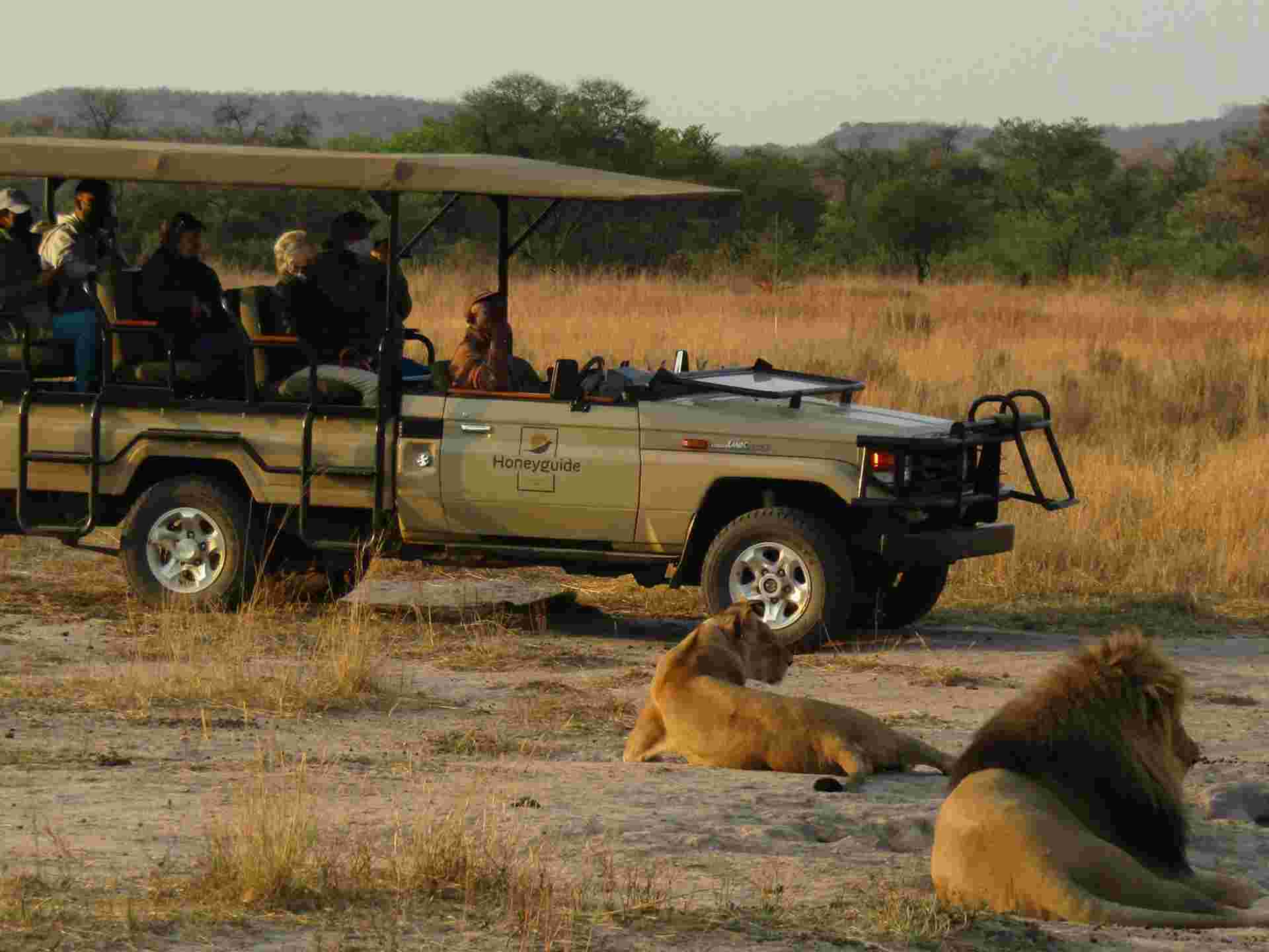 Safari in South Africa - 8 days