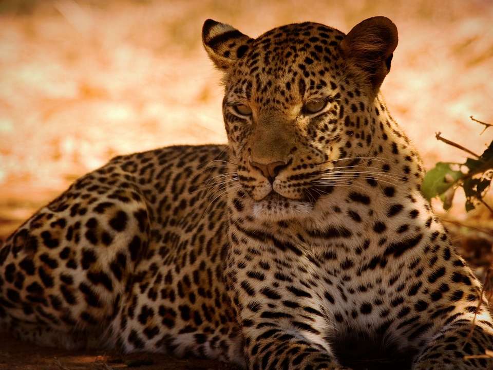 Safari in South Africa - 8 days - On The Go Tours - South Africa - Image 2