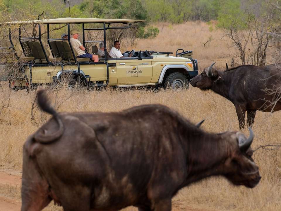 Safari in South Africa - 8 days - On The Go Tours - South Africa - Image 4