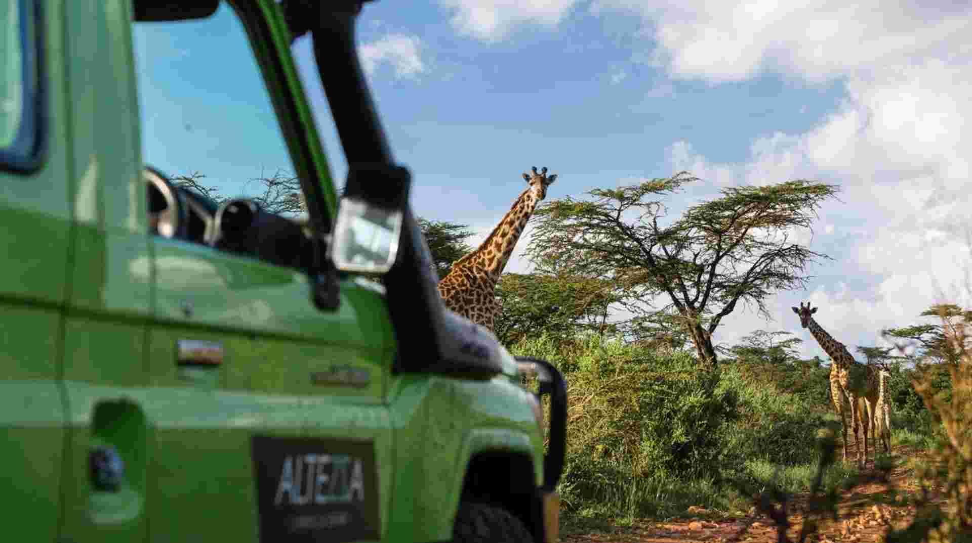 Safari in Tarangire and Ngorongoro