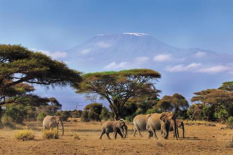 Safari To Kilimanjaro - Machame Route - 15 Days