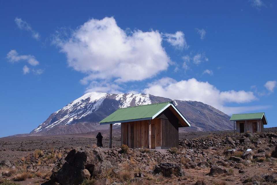 Safari to Kilimanjaro - Machame Route - Intrepid Travel - Kenya - Image 17