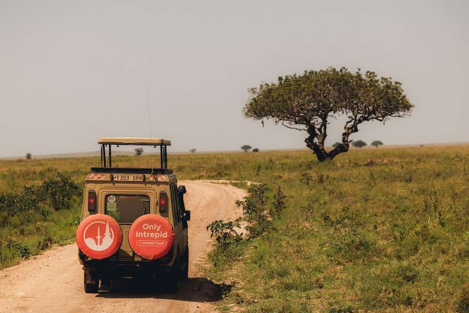 Safari to Kilimanjaro - Machame Route - Intrepid Travel - Kenya - Image 5
