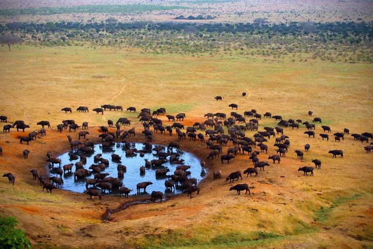 Kenya Small Group Tours: Safari To Tsavo East, Short Break (on Request)