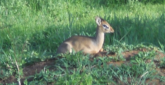 Image 3 of 5