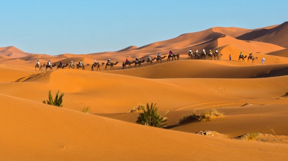 Image 3 of 8