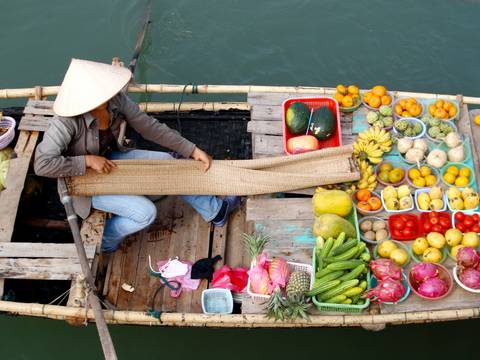 Ho Chi Minh City Sightseeing Tour: Saigon, Cu Chi & Mekong Delta - 6 Days