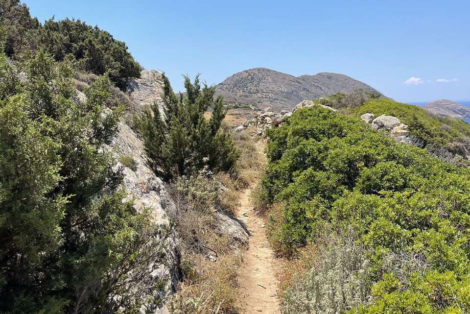 Sail & Hike Greece: Mykonos to Athens - Intrepid Travel - Greece - Image 8