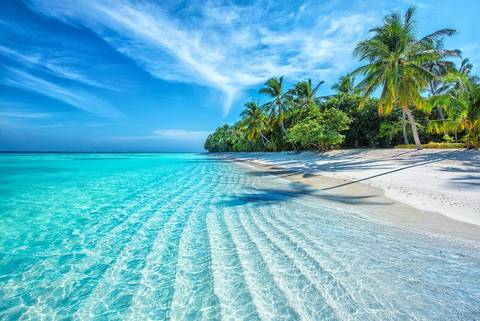 Sail Maldives - 8 Days