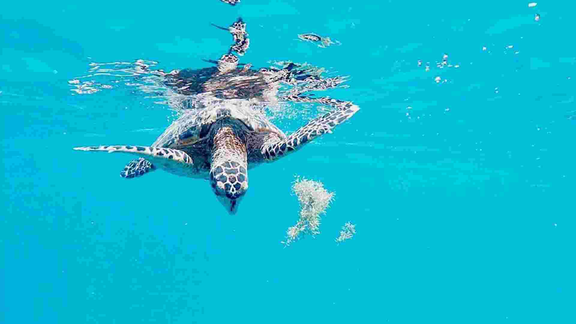 Island-hopping and Sailing Belize: Beach Days & Starry Nights