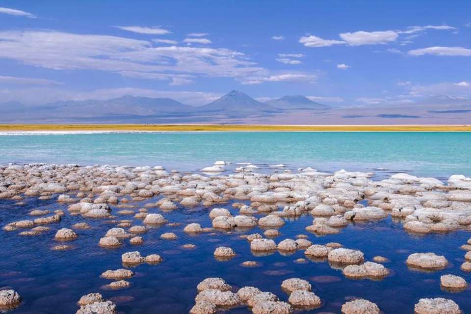 Salar de Atacama & Toconao Oasis and Salt in San Pedro - Tangol Tours - Chile - Image 3
