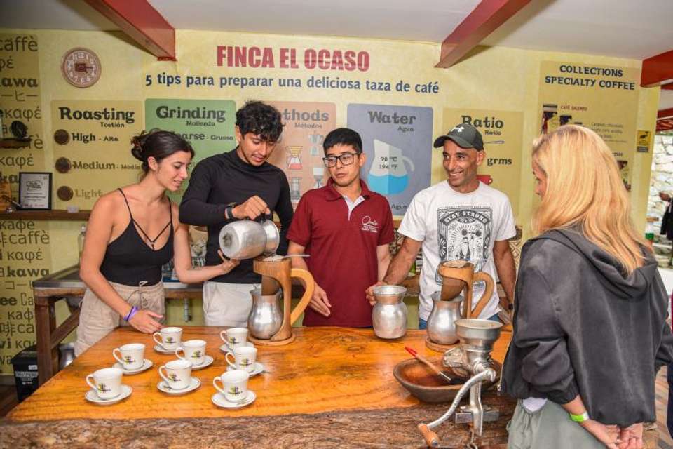 Salento: Coffee Farm Tour with Jeep Willys & Tasting - Morning option - Tangol Tours - Colombia - Image 1