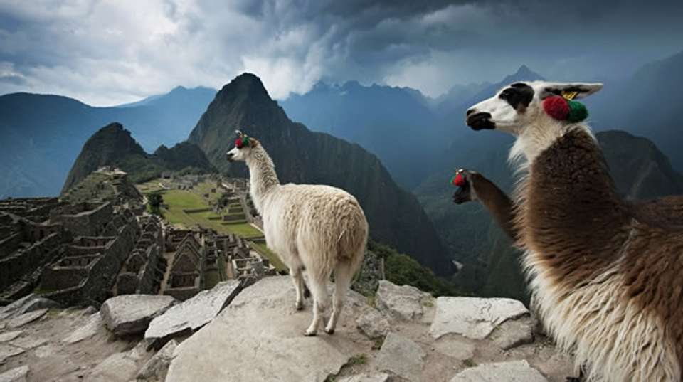 Salkantay Trek 4 Days to Machu Picchu - Andean Path Travel - Peru - Image 4