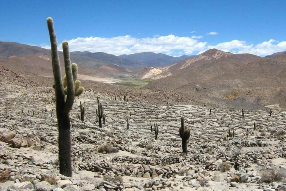 San Antonio de los Cobres Day Trip from Salta - Tangol Tours - Argentina - Image 4