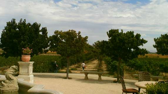 Image 4 of 9
