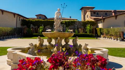 San Francisco Half Day Wine Tour - 5 Hours