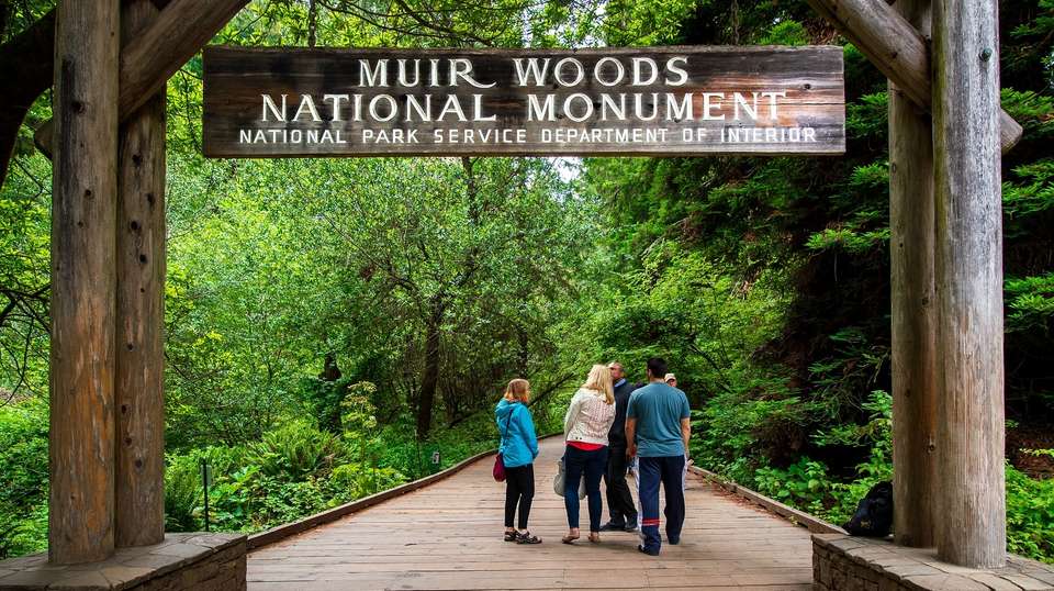 San Francisco: Redwoods and California Wine Country Tour - Extranomical Tours - USA - Image 5