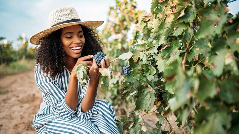 San Francisco: Redwoods and California Wine Country Tour - 10 hours