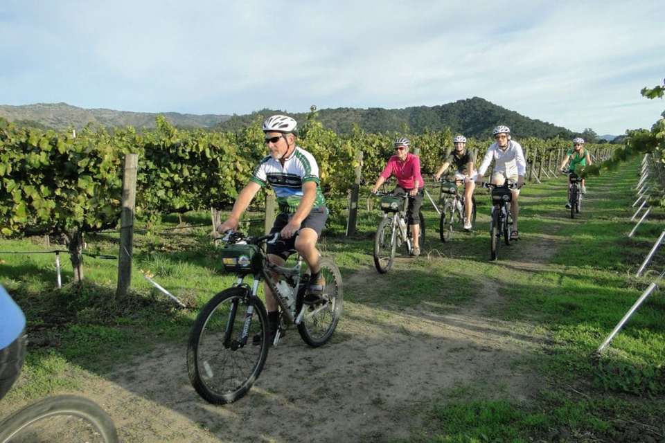 San Francisco, Redwoods & Vineyards - 5 days - On The Go Tours - USA - Image 3
