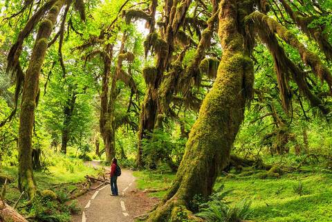 San Francisco City Sightseeing Tour: San Francisco To Seattle