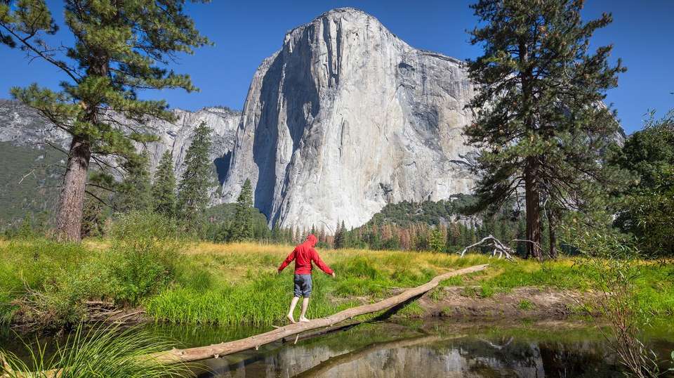 San Francisco: Yosemite and Giant Sequoias Tour - Extranomical Tours - USA - Image 5