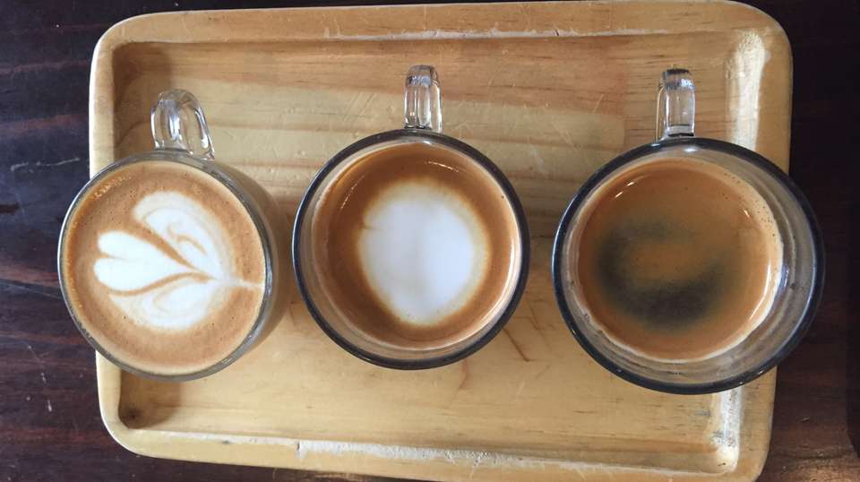 San Jose Food Tour: Farm to Table - Foodie Tours Costa Rica - Costa Rica