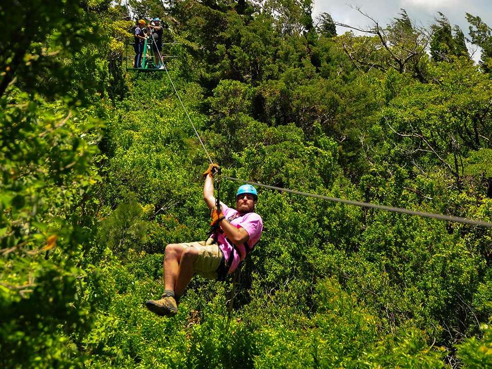 San Jose to Cancun Travel Pass - Bamba - Costa Rica - Image 3