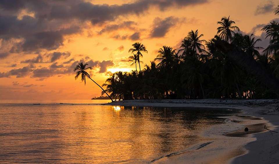 San Jose to Panama City Travel Pass - Bamba - Costa Rica - Image 5