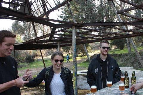 Lagoons Tour: Santiago To La Paz Travel Pass