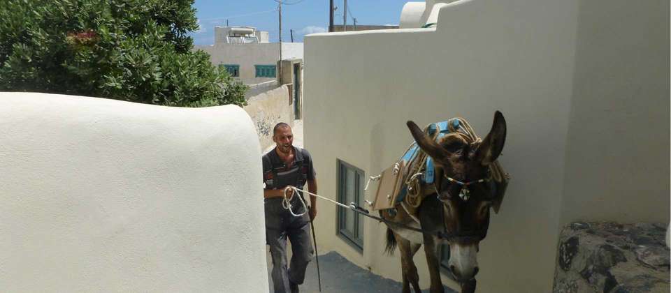 Santorini and Crete Walk - Utracks - Greece - Image 11