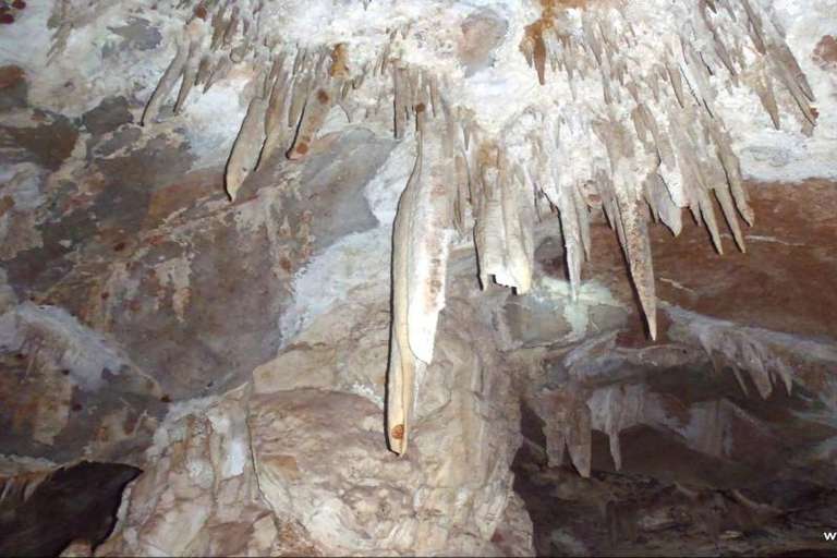 Sao Miguel Caves trip - alternative tour available