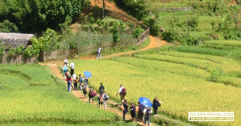 Sapa 2 day - 1 day adventure tour from Hanoi - Go Asia Travel - Vietnam - Image 2