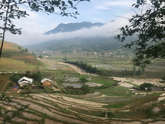 Image 2 of 8
