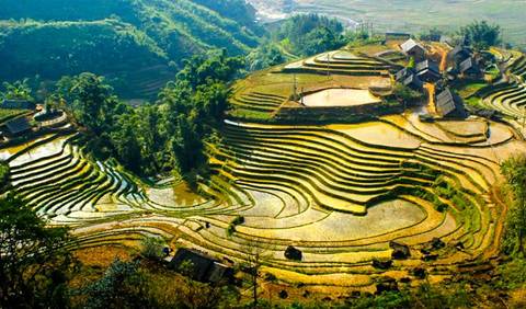 Sapa Trekking 5d/4n - September 2026