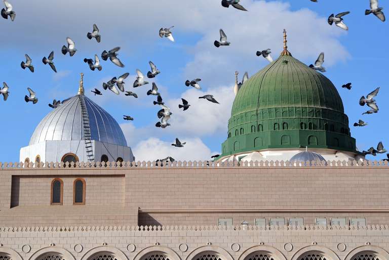 Saudi Arabia Classics trip - alternative tour available