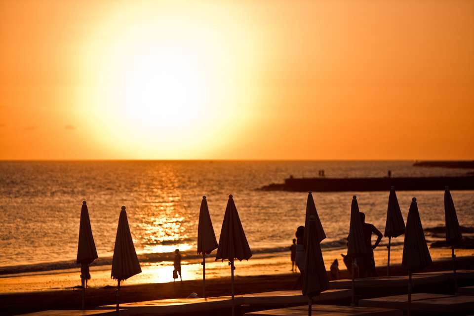 Saudi Arabia Explorer - Total Eclipse - Exodus Adventure Travels - Saudi Arabia - Image 19